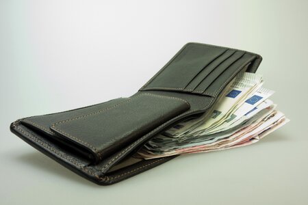 Euro leather wallet