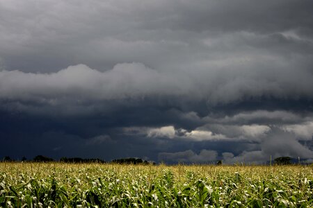 Agriculture atmosphere cereal