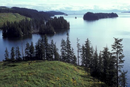 Camp coast 
