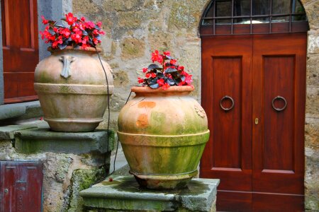 Flower pot pottery door photo