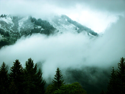 Mountain landscape with forest and clouds and fog in New Zealand