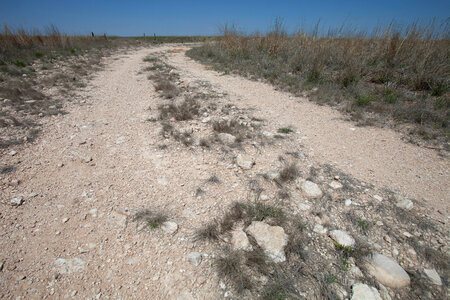 Roads for habitat restoration