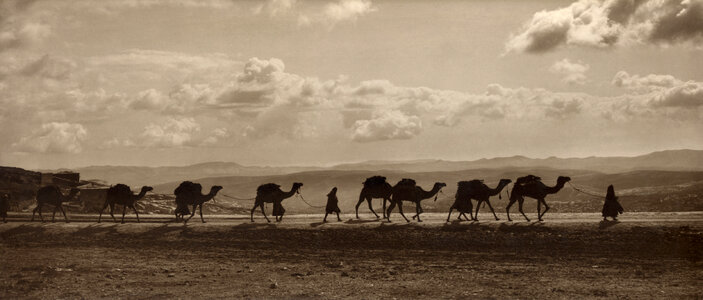 Egyptian camel transport passing over Olivet photo