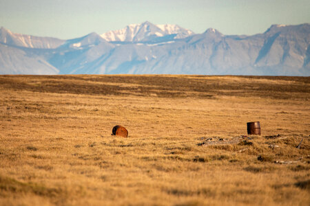 Arctic National Wildlife Refuge
