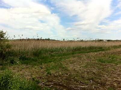 Agriculture agricultural nature