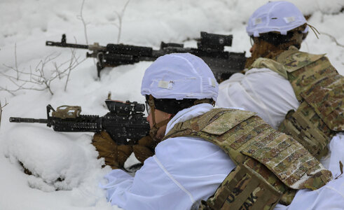 Soldiers Combat Team train photo