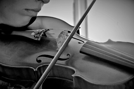Violin Playing Musician photo