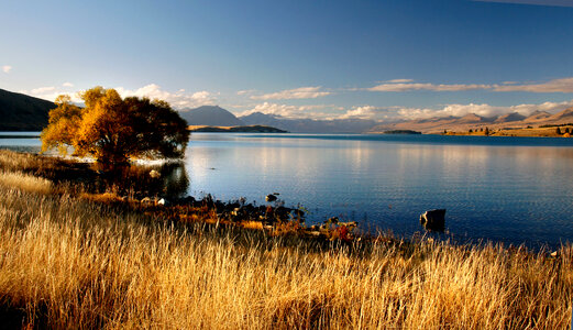Evening Landscape around Lake Tekapo in New Zealand photo