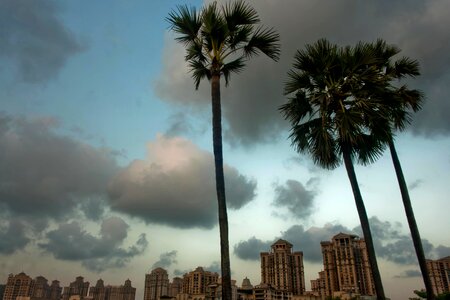 Architecture beach city