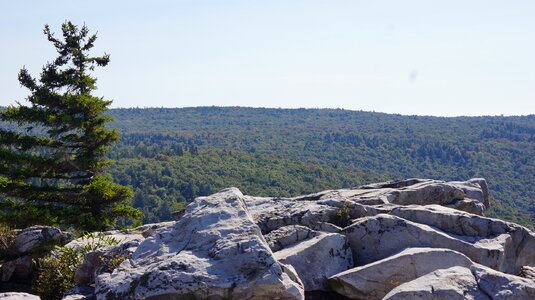 Dolly Sods Rohrbaugh Plains photo