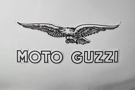 Black And White eagle motor photo