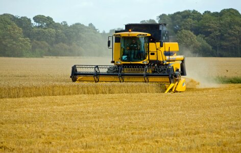 Harvest combine harvester wheat field
