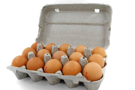 Diet egg egg box photo