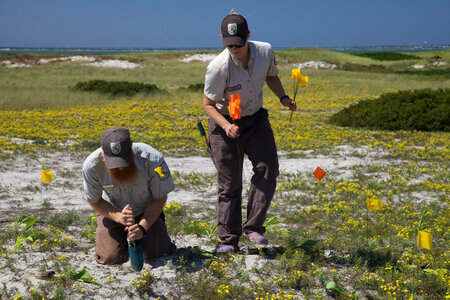 Placing markers at Monomoy NWR