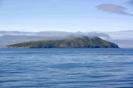Alaska domestic island