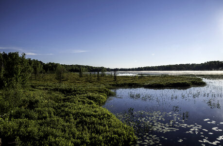Lake and wetland area in Chequamegon National Forest, Wisconsin photo