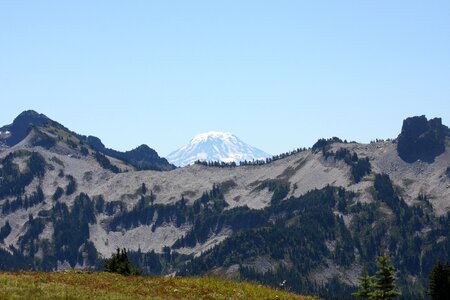 Paradise trail in Mount Rainier National Park, Washington
