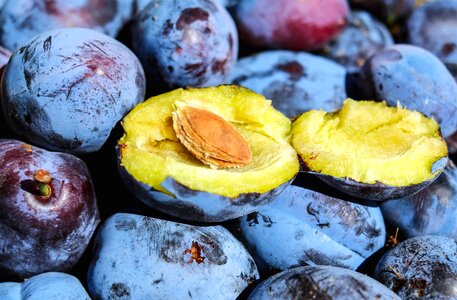 Diet dietary food