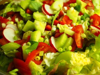 Tomato radishes healthy photo