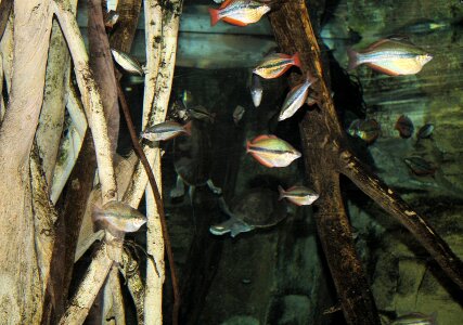People fish water