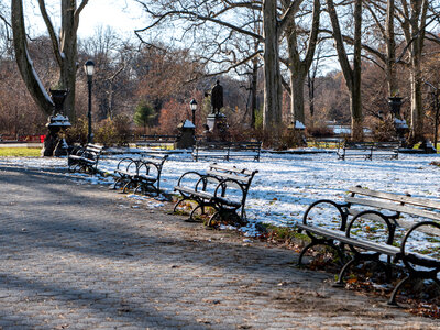 Snow Covered Park Benches photo