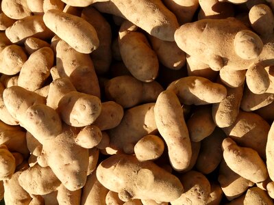 Food ingredient eat