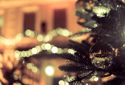 Bokeh Christmas Tree Baubles Free Photo photo