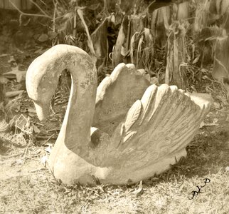 Stone statue waterfowl photo