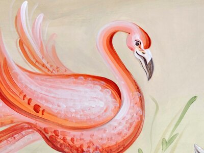 Bird fine arts flamingo photo