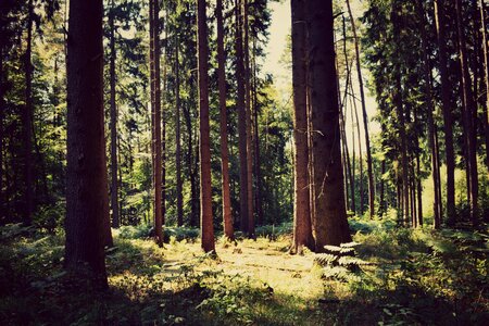 Nature landscape tribe photo