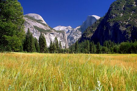 Mountains forest trees photo