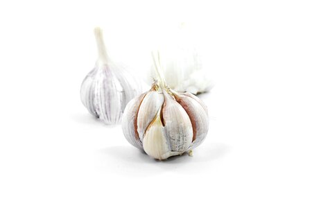 Garlic vegetable spice photo