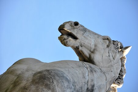 Horse sculpture rome