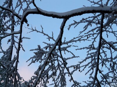 Snowy winter snow