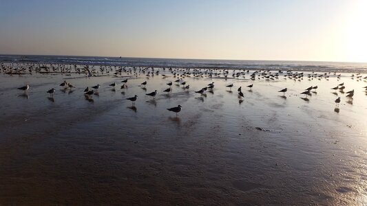 Seaside summer tomorrow