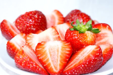 Fruit nature garden