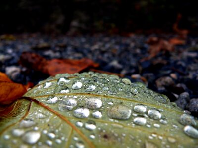 Nature picture beautiful