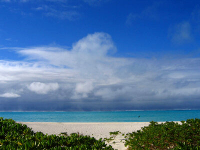 Beach on Midway Atoll National Wildlife Refuge photo