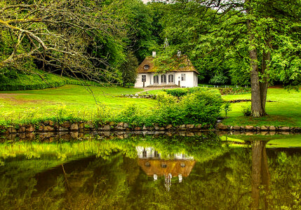 House by the pond in greenery photo