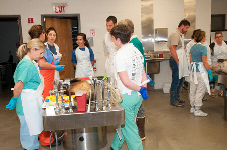 Marine Mammal Stranding Course at NCTC-1