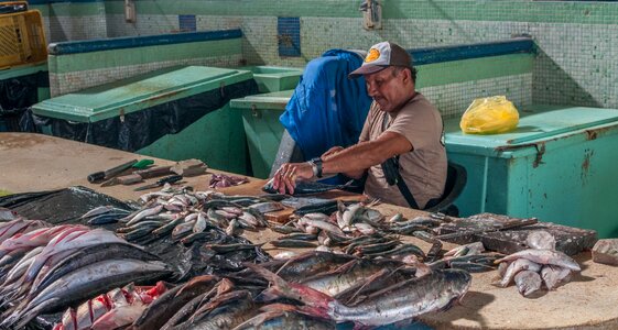 fishmongers preparing to sell fresh fish and finished fishing photo