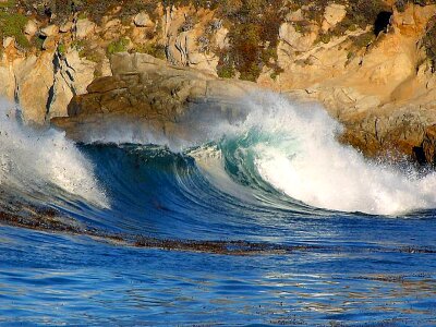 Camp waves 
