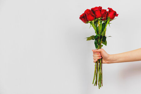 Woman’s hand holding red roses in front of white background