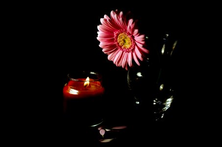 Flower And Candle photo