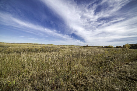 Grassland and Marsh landscape under sky and clouds at Crex Meadows