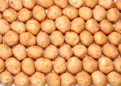 Fresh potatoes photo