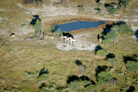 Landscape animals zoo photo