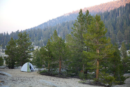 Sierra Nevada high alpine meadow-5 photo