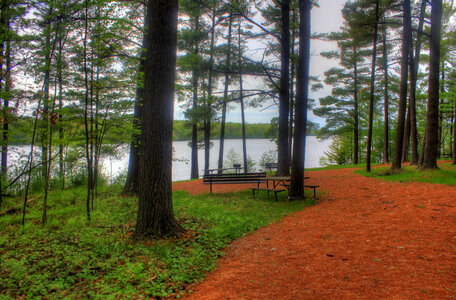 Hiking Path to the picnic path at Council Grounds State Park, Wisconsin photo