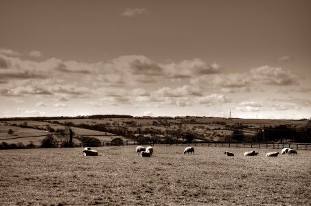 Yorkshire autumn england